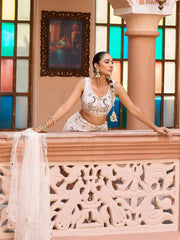 Cream Net Fabric Sequins embroidery Semi Stitched Lehenga & Unstitched Blouse With Dupatta