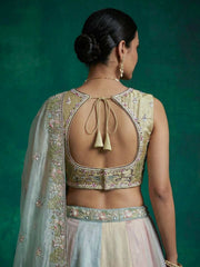 Women's Multi-Color Organza Embroidered Lehenga Choli with Dupatta