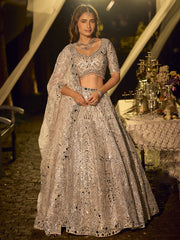 Beige Net Reception Wear Lehenga Choli