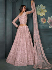 Blush Pink Heavy Embroidered Net Lehenga Choli