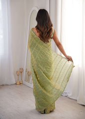 Green Fendi Satin Sequence Embroidery Saree