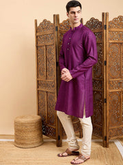 Purple Striped Embroidered Mandarin Collar Straight Kurta