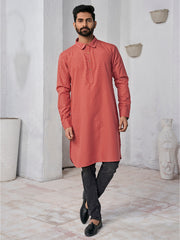Ethnic Motifs Woven Design Shirt Collar Straight Kurta