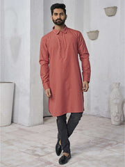 Ethnic Motifs Woven Design Shirt Collar Straight Kurta