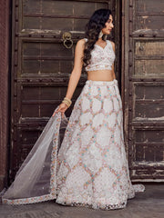 Cream Net Fabric Sequins embroidery Semi Stitched Lehenga & Unstitched Blouse With Dupatta