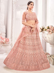 Peach Embroiderd Net Lehenga
