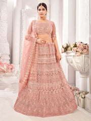 Peach Embroiderd Net Lehenga