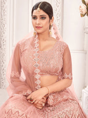 Peach Embroiderd Net Lehenga