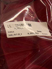 Embellished Sequinned Saree