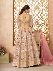 champagn-chiku color Aari embroidered benarasi lehenga for Brides
