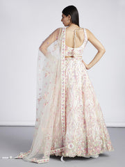 Cream Net Sequins and thread embroidery Semi Stitched Lehenga choli and Dupatta