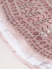 Rose Gold Net Mirror and Sequinse embroidery Semi-Stitched Lehenga choli and Dupatta