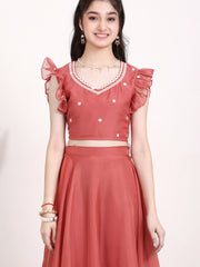 Girls Embroidered Thread Work Ready to Wear Lehenga & Blouse