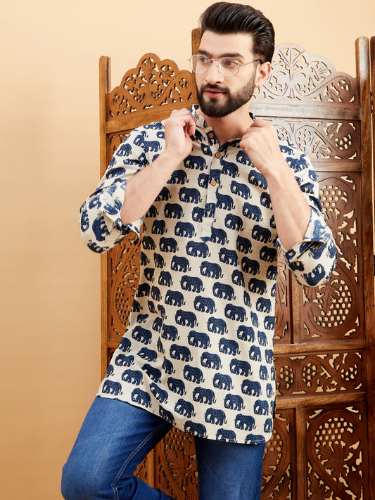 Ethnic Motifs Printed Mandarin Collar Straight Short Kurta