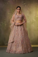 Beige Net Fabric Sequins embroidery Semi Stitched Lehenga and Unstitched Blouse With Dupatta
