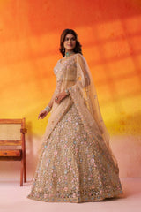 Beige Net Fabric Sequins embroidery Semi Stitched Lehenga and Unstitched Blouse With Dupatta