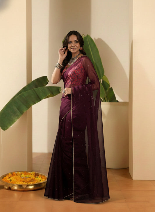 Ethnic Motifs Sequinned Organza Saree