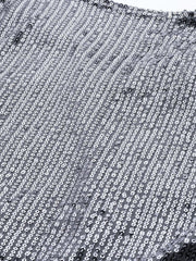 Silver Sequinned Striped Crop Top - inddus-us