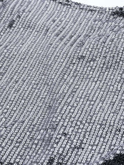 Silver Sequinned Striped Crop Top - inddus-us