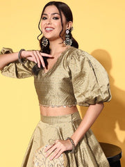 Women Metallic Beige Woven Design Top Skirt - Inddus.com