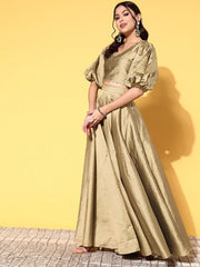 Women Metallic Beige Woven Design Top Skirt - Inddus.com