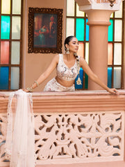 Cream  Net Fabric Sequins embroidery Semi Stitched Lehenga & Unstitched Blouse With Dupatta