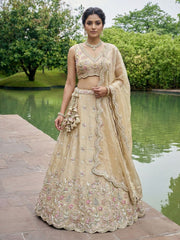 Women's Beige Tissue Mirror sequince Embroidered Lehenga Choli with Dupatta