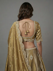Women's Beige Gold Tissue Beads with Embroidered Lehenga Choli with Dupatta
