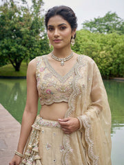 Women's Beige Tissue Mirror sequince Embroidered Lehenga Choli with Dupatta