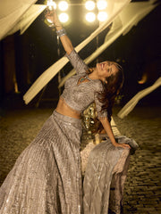 Silver Grey Net Reception Wear Lehenga Choli