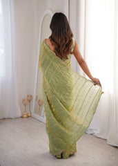 Green Fendi Satin Sequence Embroidery Saree