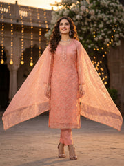 Orange Organza Hand Work Kurta Set