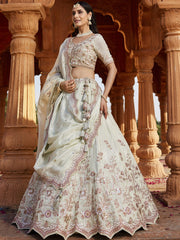 Lime green Tissue Sequinse embroidery Semi-Stitched Lehenga choli and Dupatta