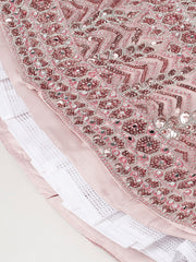 Rose Gold Net Mirror and Sequinse embroidery Semi-Stitched Lehenga choli and Dupatta
