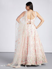 Cream Net Sequins and thread embroidery Semi-Stitched Lehenga choli and Dupatta