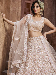 Nude Net Sequinse embroidery Semi-Stitched Lehenga choli and Dupatta