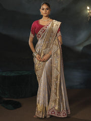 Beautiful Chiku Wedding Festive Designer Saree