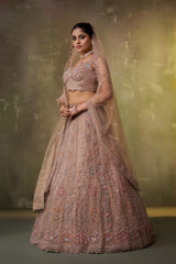 Beige Net Fabric Sequins embroidery Semi Stitched Lehenga and Unstitched Blouse With Dupatta