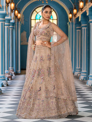 Beige  Net Fabric Sequins embroidery Semi Stitched Lehenga & Unstitched Blouse With Dupatta