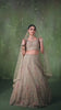 Beige Net Fabric Sequins embroidery Semi Stitched Lehenga and Unstitched Blouse With Dupatta