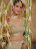 Cream colour Tissue Sequinse embroidery Semi-Stitched Lehenga choli and Dupatta