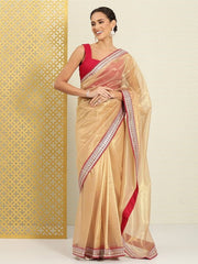 Sequinned Net Saree